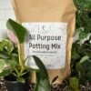 Elm Dirt All-Purpose Potting Mix -Alpja Fruits Shop IMG 5165 1