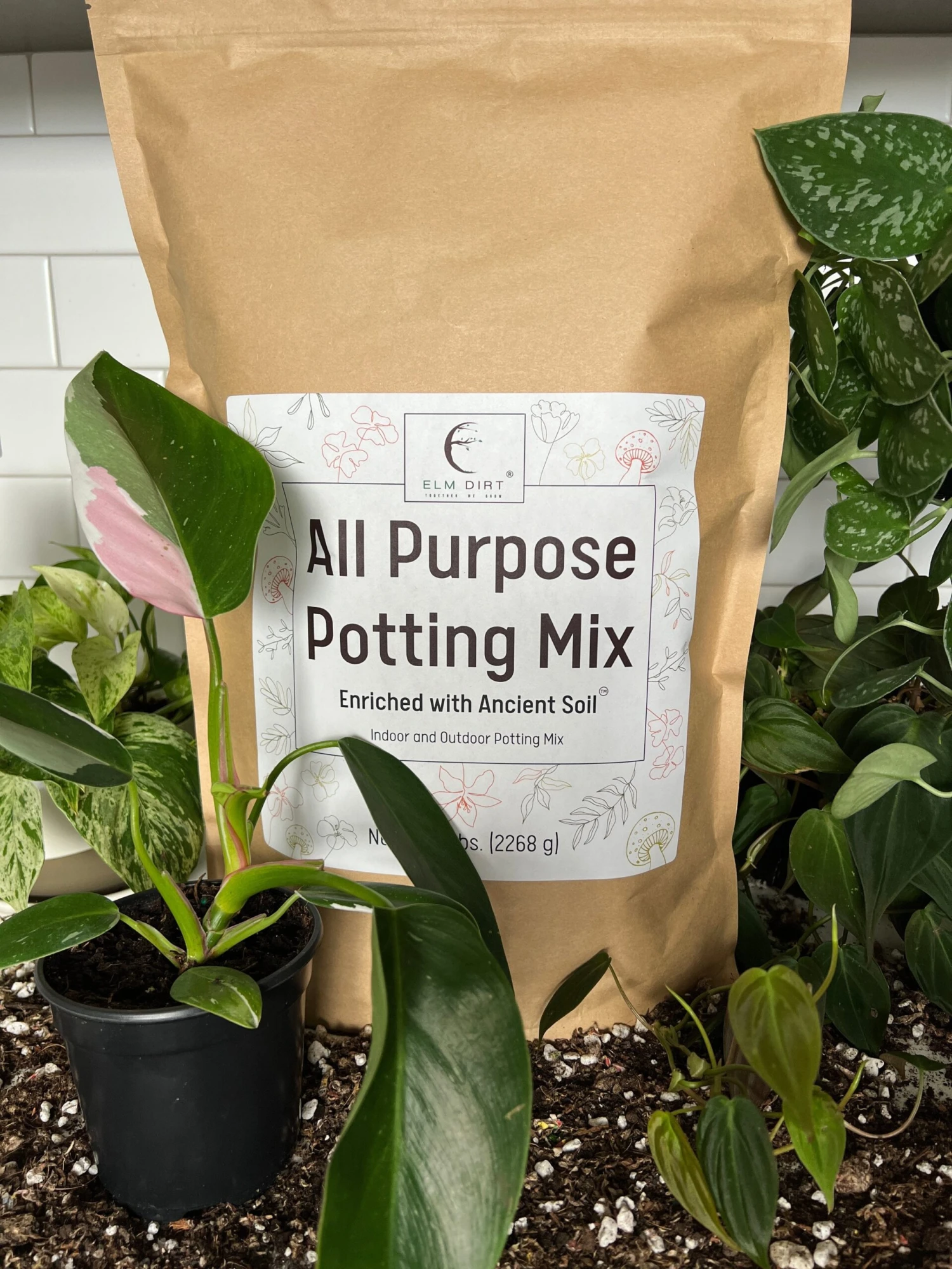 Elm Dirt All-Purpose Potting Mix 3 Elm Dirt All-Purpose Potting Mix