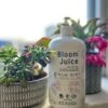 Elm Dirt Bloom Juice -Alpja Fruits Shop IMG 6497