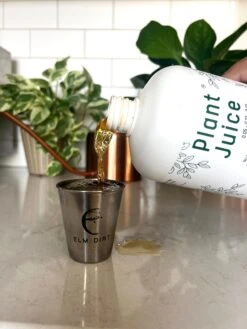 Elm Dirt Plant Juice 6 Elm Dirt Plant Juice -Alpja Fruits Shop IMG 6513