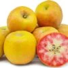 Lucy™ Glo Apple -Alpja Fruits Shop LucyGloApplePicture
