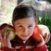 Wolf River Apple -Alpja Fruits Shop Young girl with huge Wolf River apples Photo by Jan Mangan