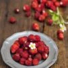 Rugen Alpine Strawberry -Alpja Fruits Shop alpine strawberries 1