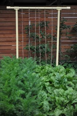 Freyr Trellis By Seattle Urban Farm Company -Alpja Fruits Shop dandelion yellow gigapixel standard scale 6 00x cf02eff6 2c92 4e0d 8396 31d0d9480f7f