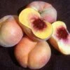 Sweet Bagel Peach -Alpja Fruits Shop httpraintreenursery.netpc545 peach