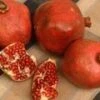 Red Silk Pomegranate -Alpja Fruits Shop httpraintreenursery.netpd491 01