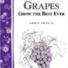 Great Grapes -Alpja Fruits Shop httpraintreenursery.netps180