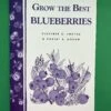 Grow The Best Blueberries -Alpja Fruits Shop image 590a5192 6d87 44ea 935d 55ba56a62e2c 1