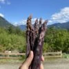 Sweet Purple Asparagus -Alpja Fruits Shop image 92e10dd9 154a 4ff0 abe8 4fa74f8203bb