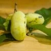 Mango Paw Paw -Alpja Fruits Shop lpc 2 180917 8216 picked pawpaws and leaves scaled 1