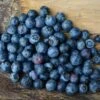 Weymouth Blueberry -Alpja Fruits Shop product 140228 1654541138 BLB107 3