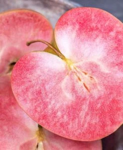 Alpja Fruits Shop -Alpja Fruits Shop red fleshed 1