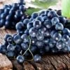 Rondo Grape -Alpja Fruits Shop shutterstock 116185141 1