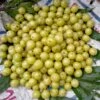 Colossal Gooseberry 1 Colossal Gooseberry -Alpja Fruits Shop shutterstock 1811261533 1 1