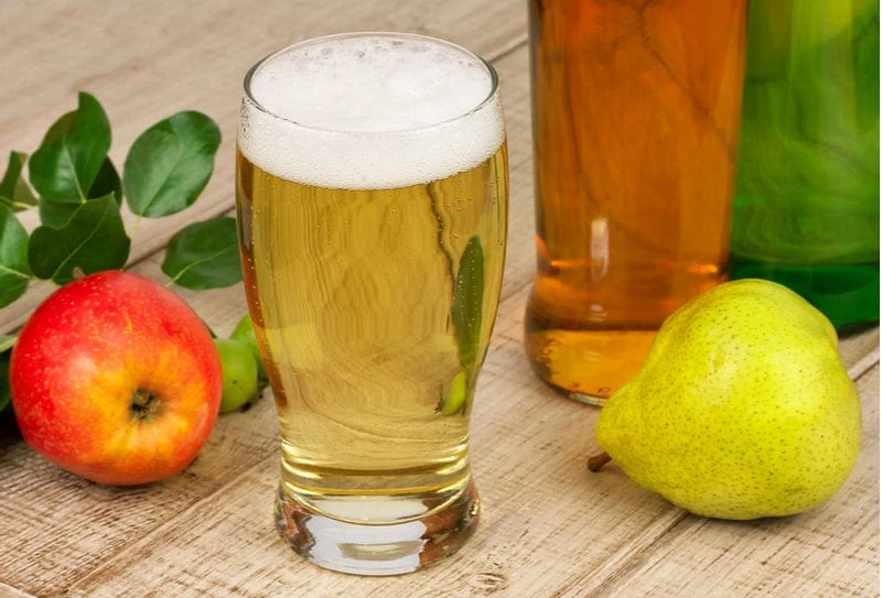 Gloucester Select Perry Cider Bundle (6 Trees) 3 Gloucester Select Perry Cider Bundle (6 Trees)