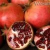 Wonderful Pomegranate 2 Wonderful Pomegranate -Alpja Fruits Shop wonderful